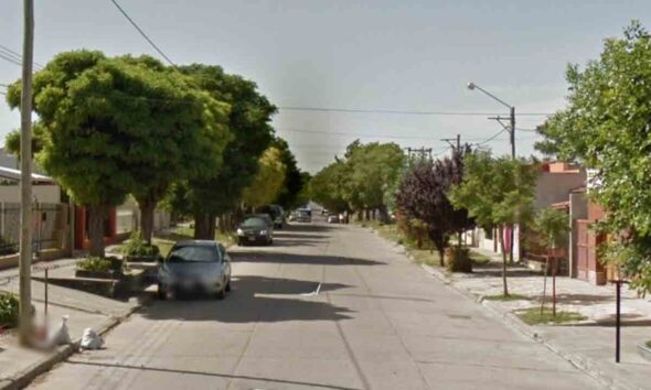 Quiso robar una planta de marihuana del patio de una casa y fue baleado ...